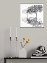 Three trees. Poster och Canvastavla