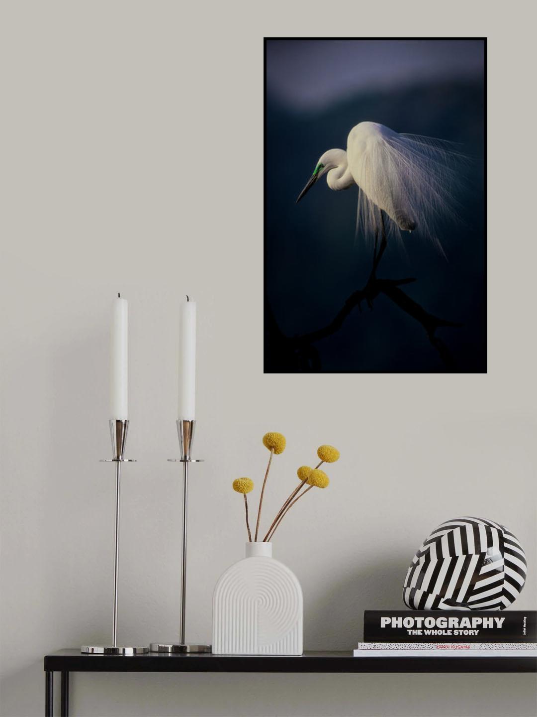 Beautiful ornament feathers Poster och Canvastavla