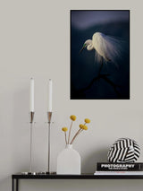 Beautiful ornament feathers Poster och Canvastavla