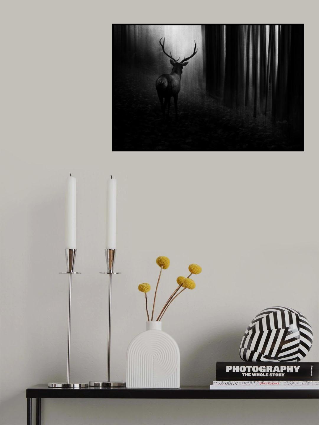 Stag Poster och Canvastavla