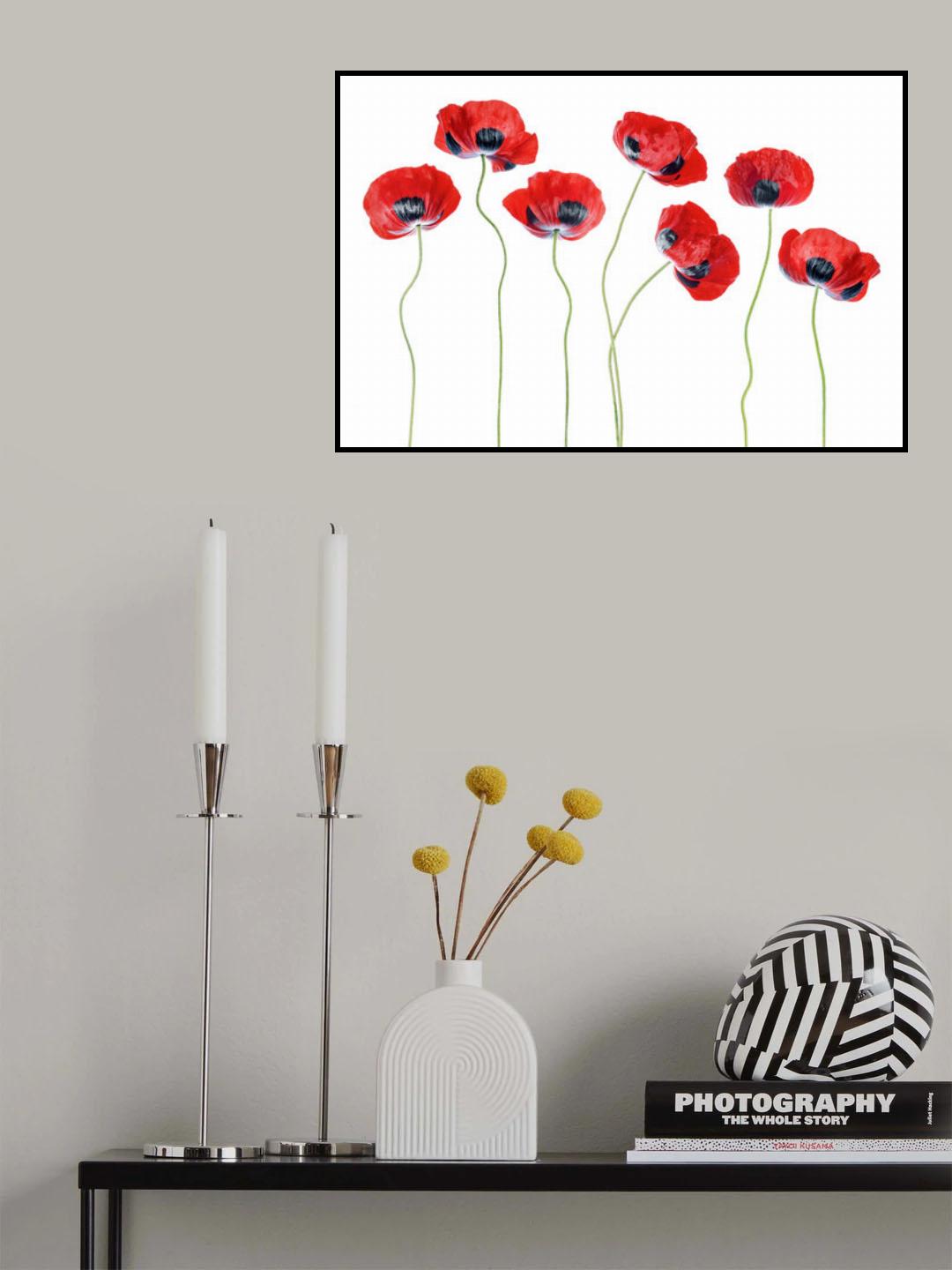 Ladybird Poppies Poster och Canvastavla