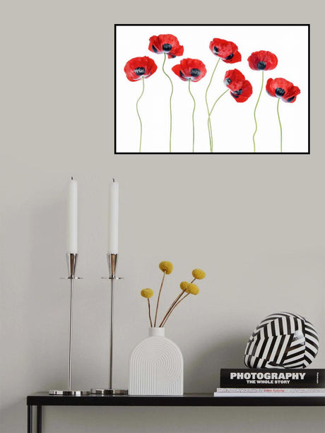 Ladybird Poppies Poster och Canvastavla