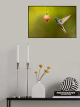 Wasp and Hillstar Poster och Canvastavla