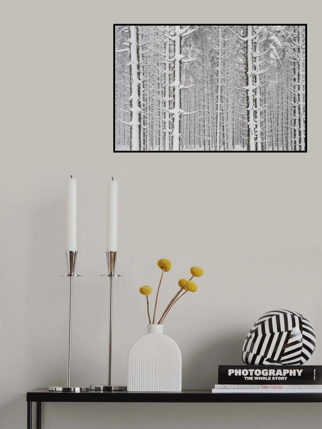 snow in the forest Poster och Canvastavla