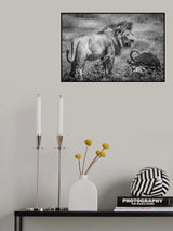 Post dinner contentment Poster och Canvastavla