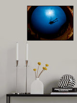 Diver Poster och Canvastavla