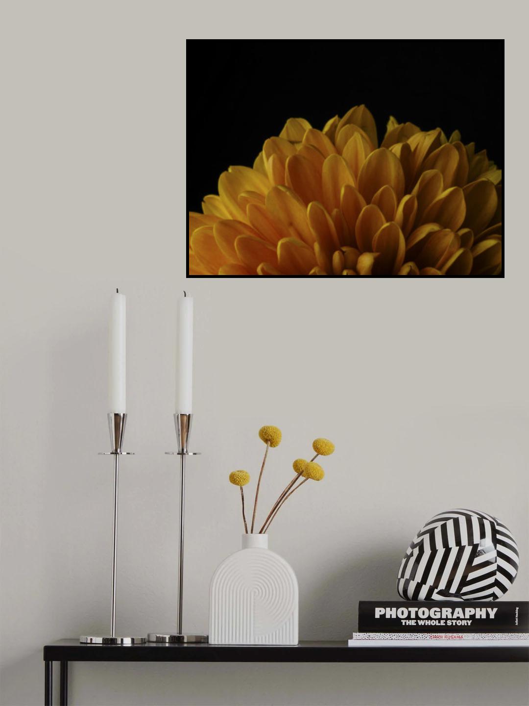 macro shot of a beautiful yellow flower Poster och Canvastavla