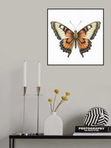 Butterfly 41 Poster och Canvastavla
