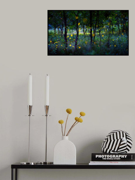 Magic fireflies Poster och Canvastavla