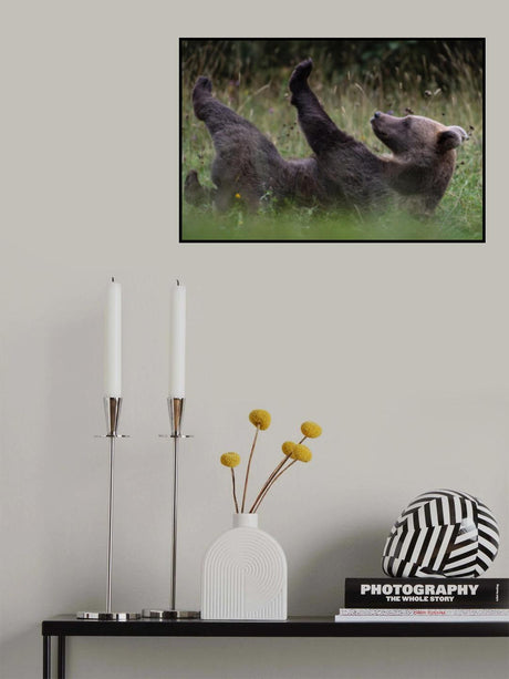 Claws are fine Poster och Canvastavla