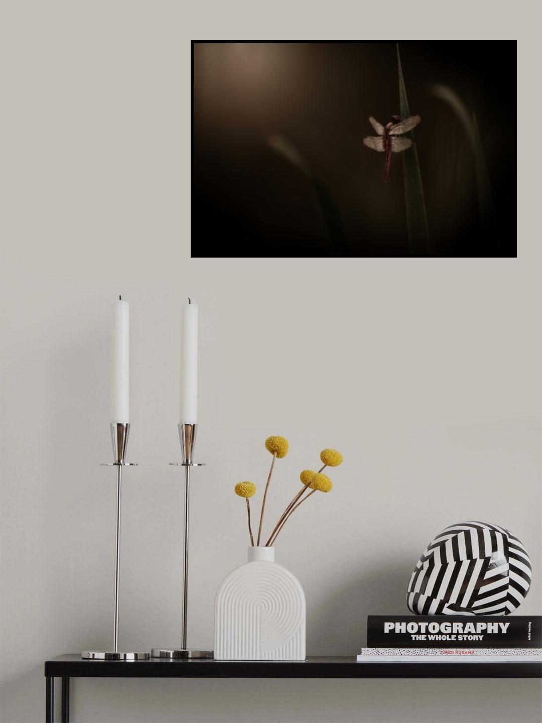 Morning dew Poster och Canvastavla