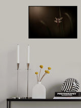 Morning dew Poster och Canvastavla