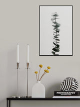 Eucalyptus Natural 02 Poster och Canvastavla