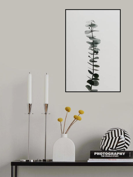 Eucalyptus Natural 02 Poster och Canvastavla