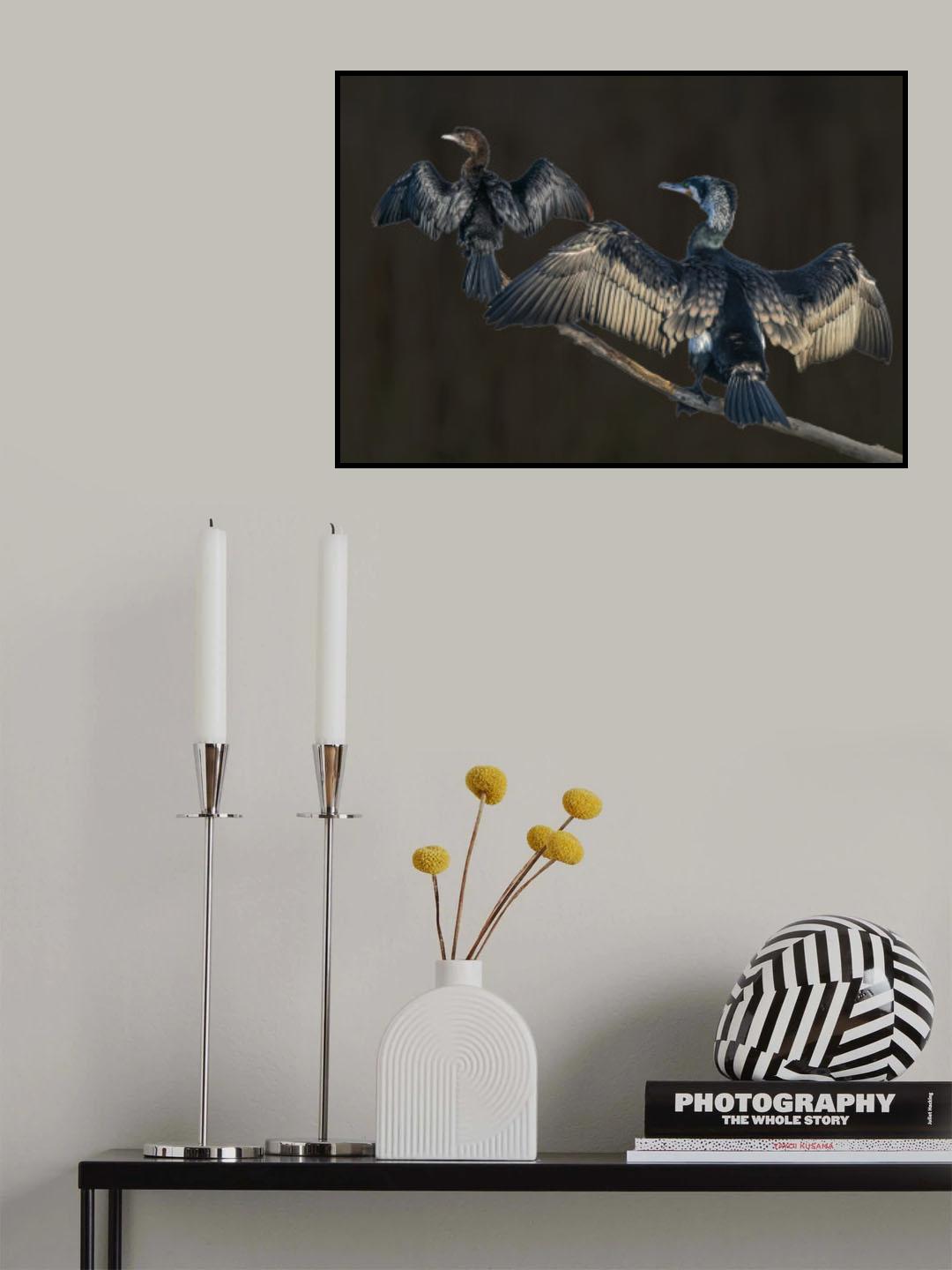 Young and old Poster och Canvastavla