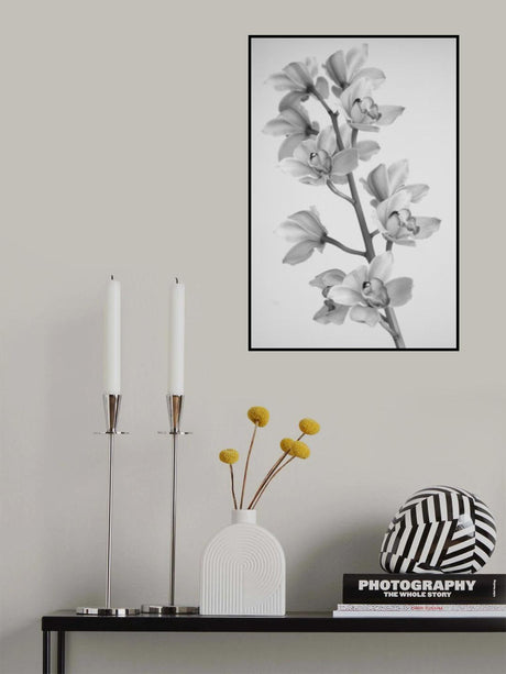 Wild Orchid Poster och Canvastavla