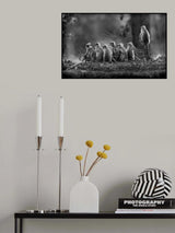 Jungle Post Poster och Canvastavla