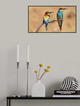 Bee-eaters Poster och Canvastavla