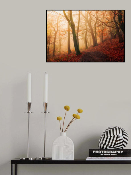 Wake up forest. Poster och Canvastavla