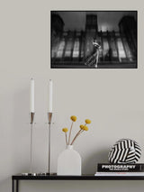 under a full moon Poster och Canvastavla