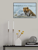Poster och Canvastavla