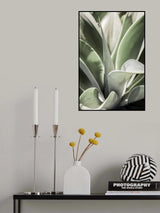 Karro Bloom Poster och Canvastavla