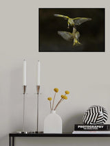 Flying attack! Poster och Canvastavla