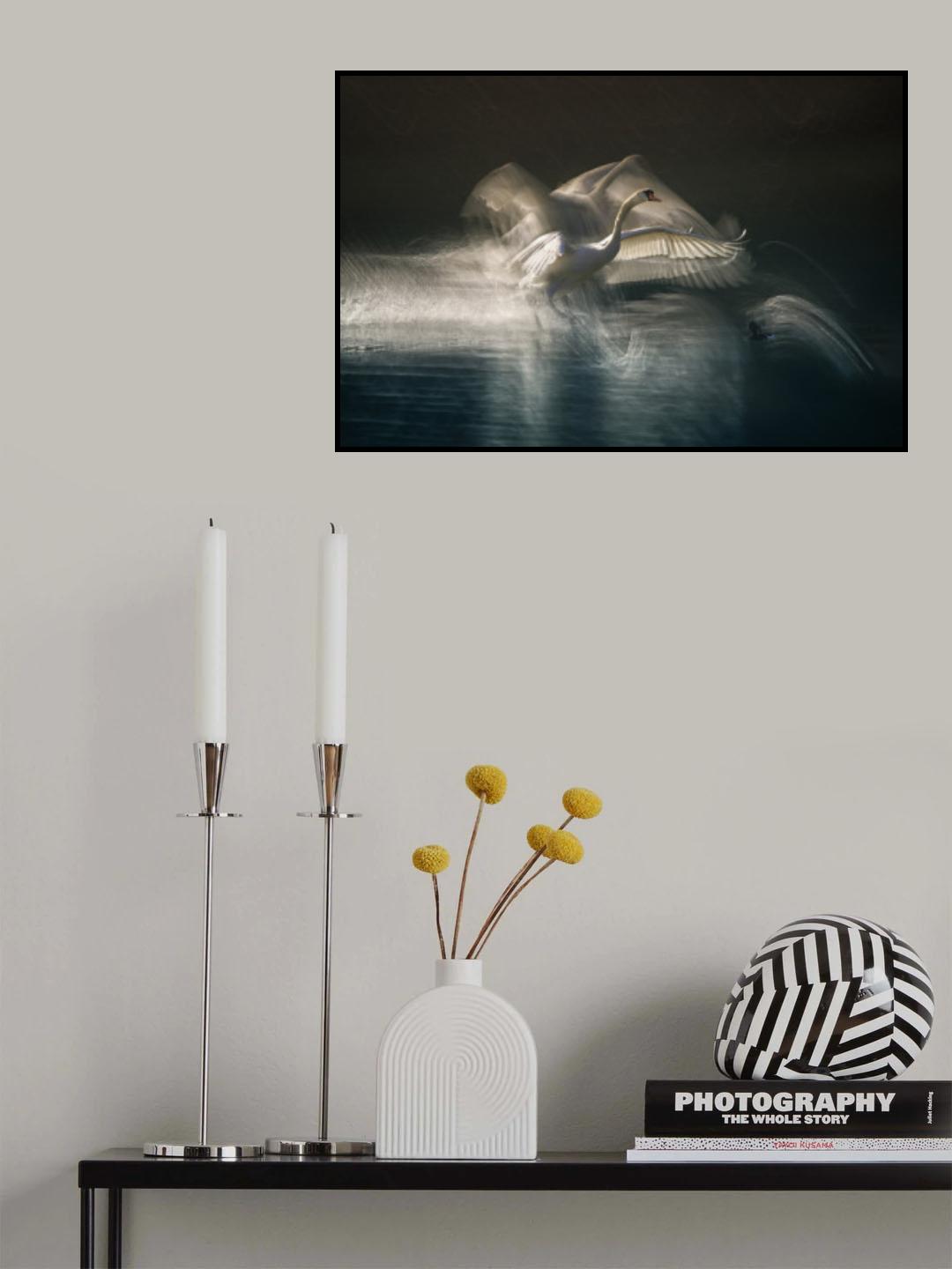 Landing Poster och Canvastavla