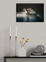 Landing Poster och Canvastavla