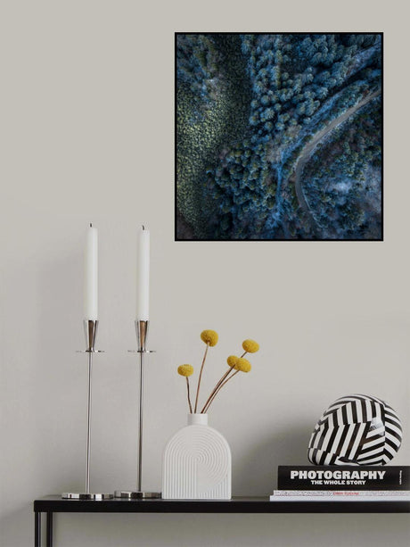 Vitosha stone river Poster och Canvastavla