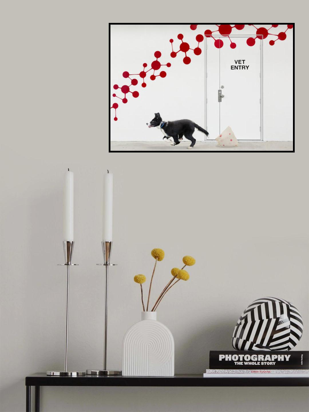 Escape at the Vet Poster och Canvastavla