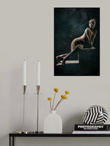 SCULPTURE Poster och Canvastavla