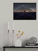 Solitario / Solitaire Poster och Canvastavla