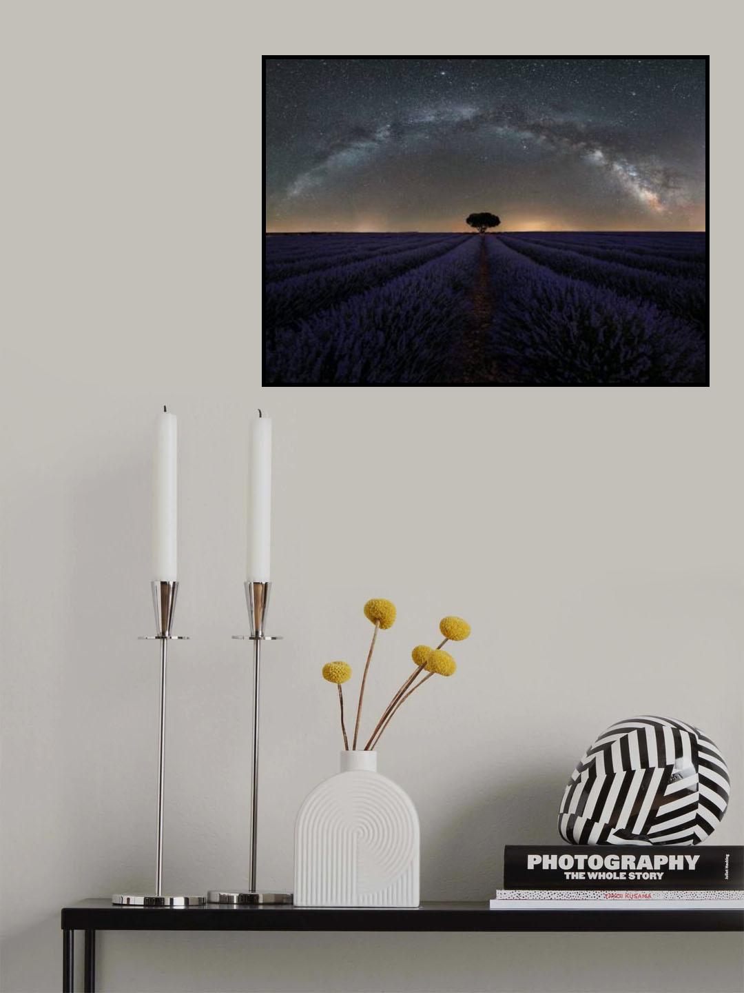 Solitario / Solitaire Poster och Canvastavla