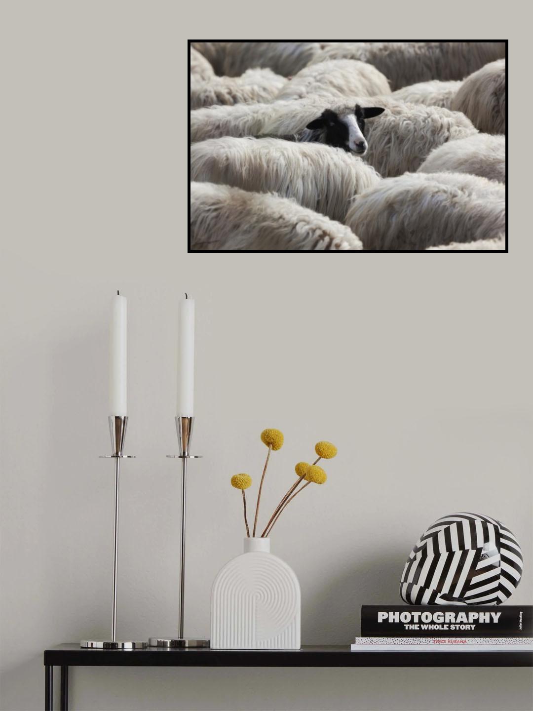 Lo Sguardo Poster och Canvastavla