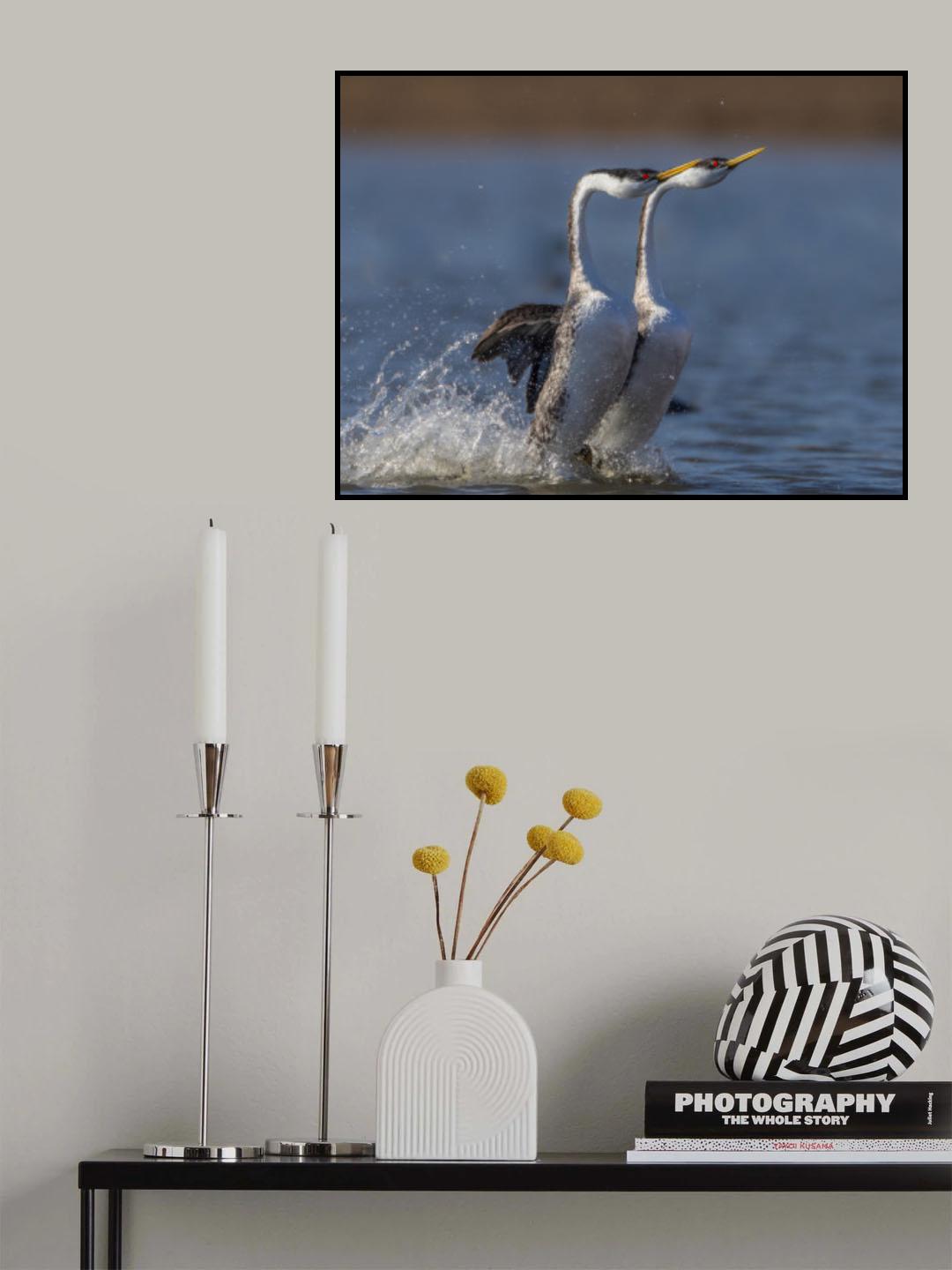 竞赛 Poster och Canvastavla