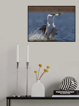 竞赛 Poster och Canvastavla