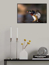 Soft landing Poster och Canvastavla
