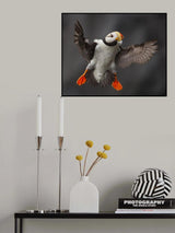 Full Flaps ! Poster och Canvastavla