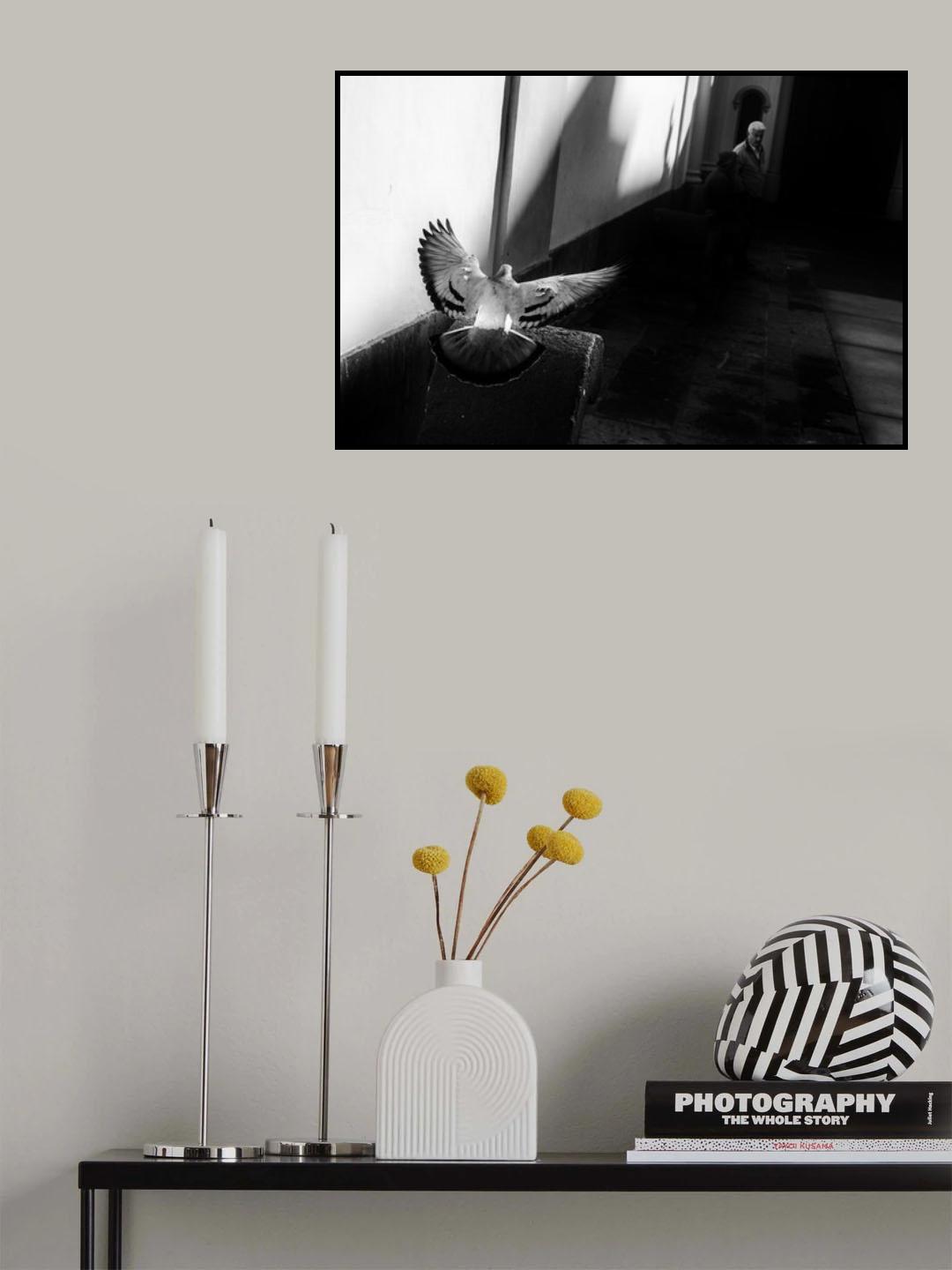 chasing pidgeons Poster och Canvastavla