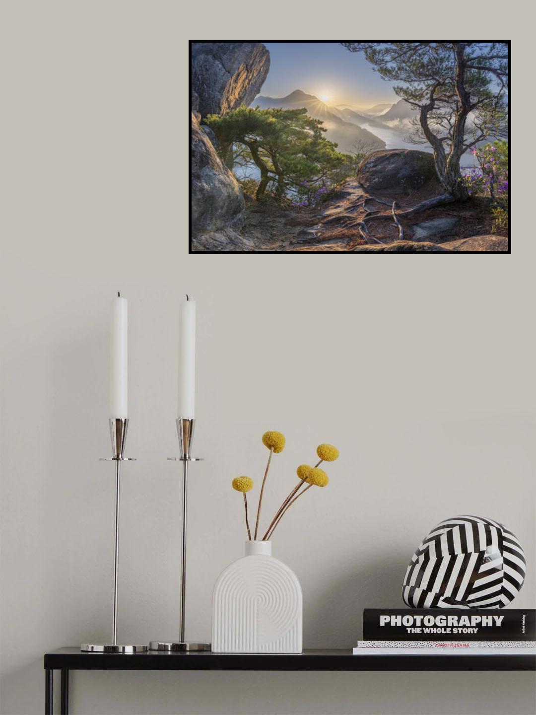 Spring, elements of life Poster och Canvastavla