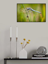 Hunter and the Hunted Poster och Canvastavla