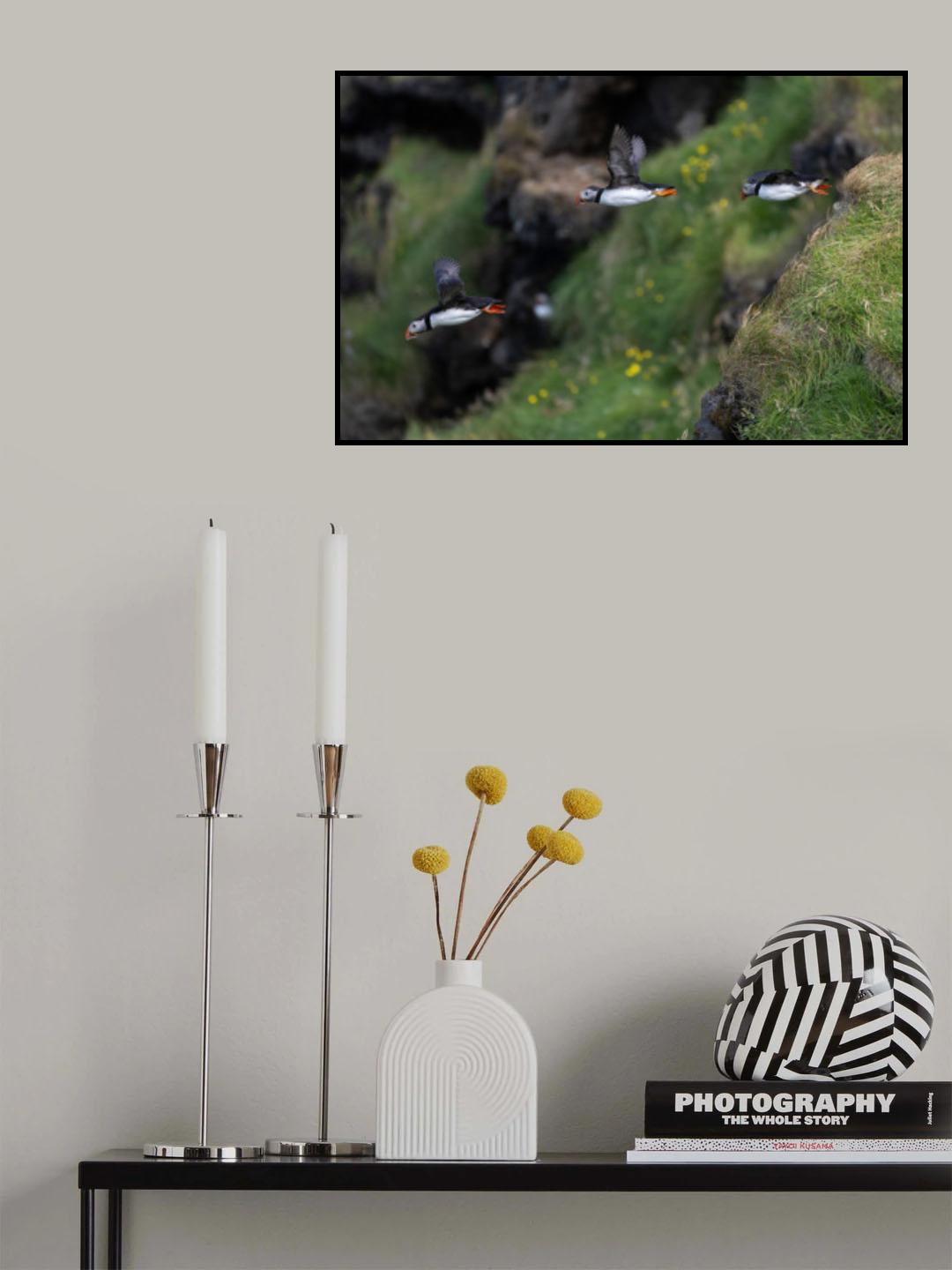 Out for fishing trip Poster och Canvastavla