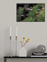 Out for fishing trip Poster och Canvastavla