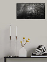 Cormorant's hunt ( Sardine fish) Poster och Canvastavla