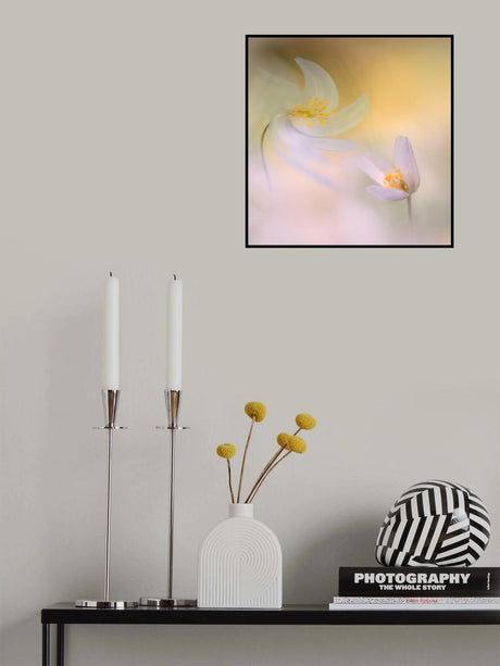 Ljuset vaknar. Poster och Canvastavla