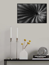 looked Poster och Canvastavla