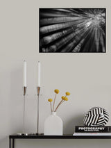 To Let Myself Go Poster och Canvastavla
