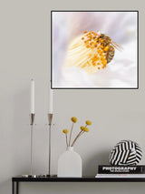 Enjoying Camellia Poster och Canvastavla