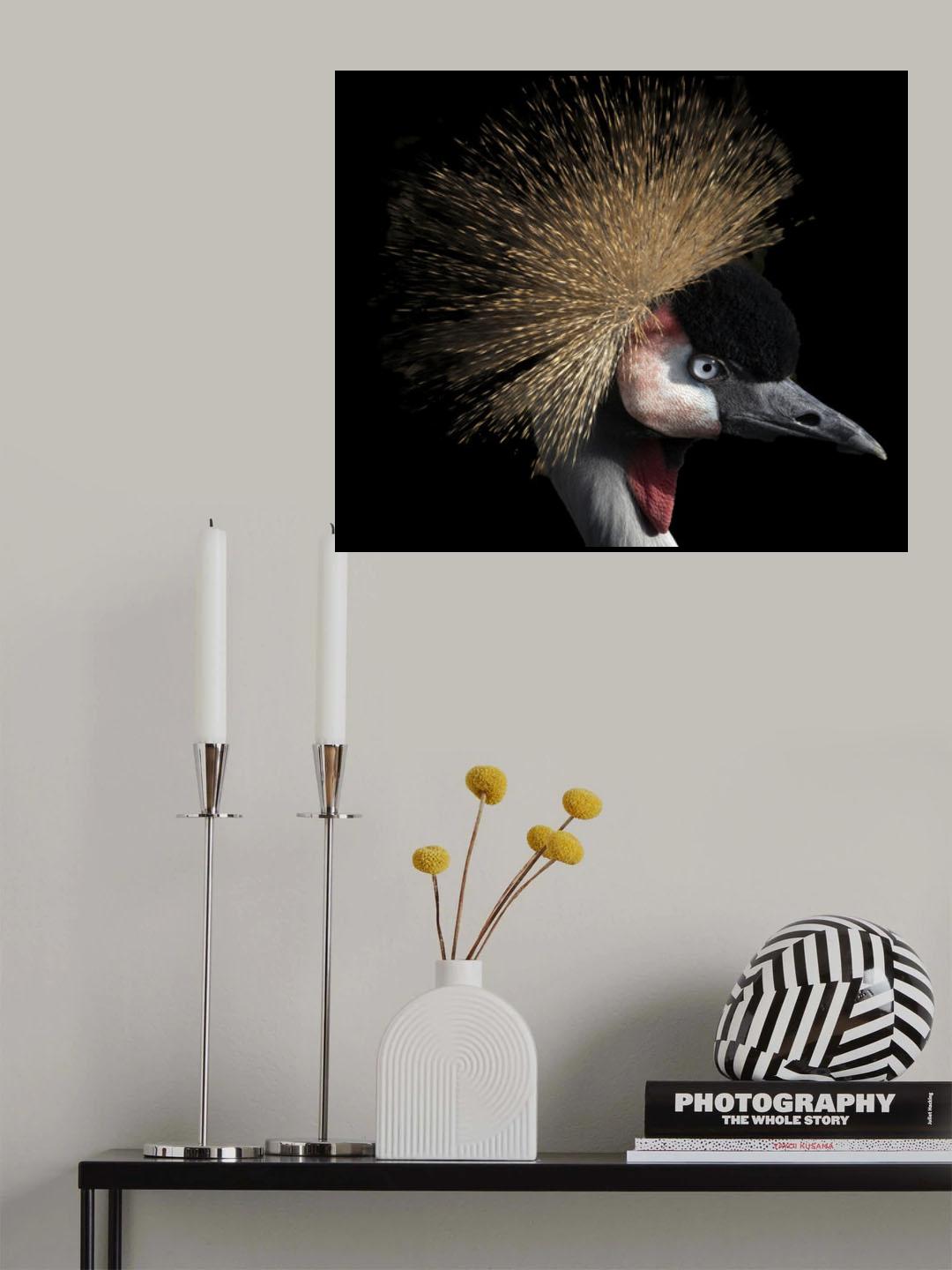 Crowned crane Poster och Canvastavla